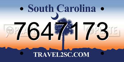 7647173 South Carolina License Plate