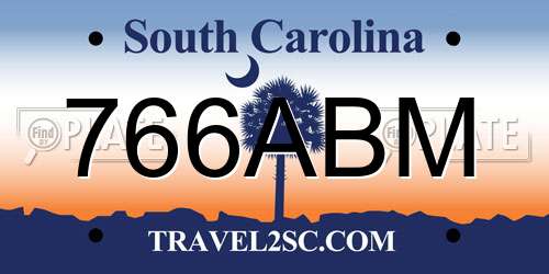 766ABM South Carolina License Plate