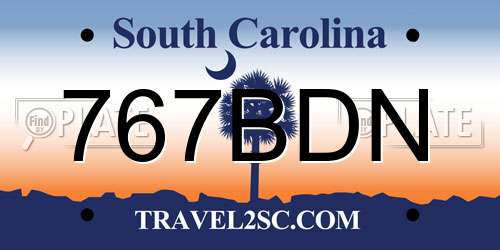 767BDN South Carolina License Plate
