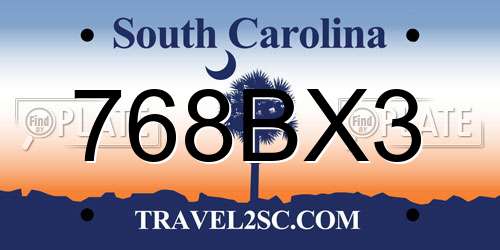 768BX3 South Carolina License Plate