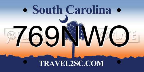 769NWO South Carolina License Plate