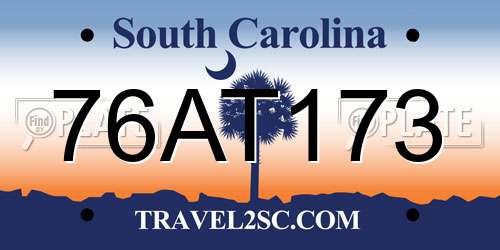 76AT173 South Carolina License Plate