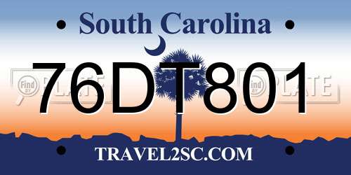 76DT801 South Carolina License Plate
