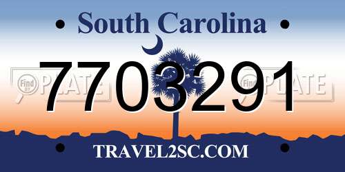 7703291 South Carolina License Plate