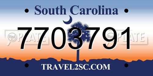 7703791 South Carolina License Plate