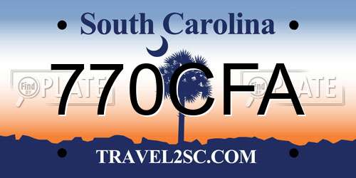 770CFA South Carolina License Plate