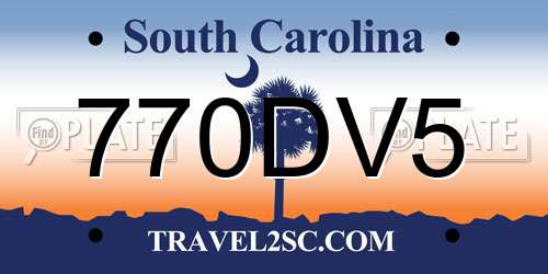 770DV5 South Carolina License Plate