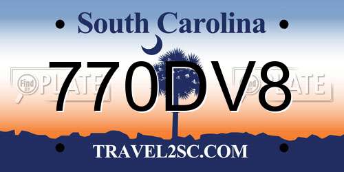 770DV8 South Carolina License Plate