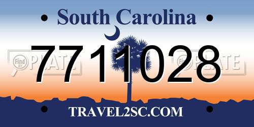 7711028 South Carolina License Plate