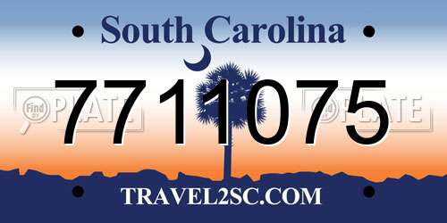 7711075 South Carolina License Plate