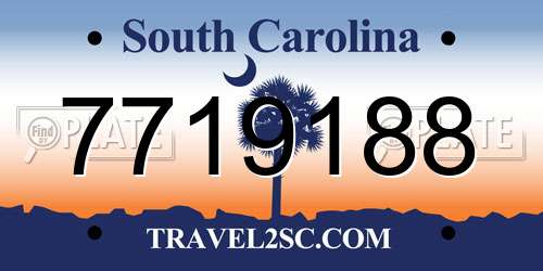 7719188 South Carolina License Plate