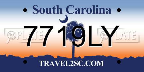7719LY South Carolina License Plate