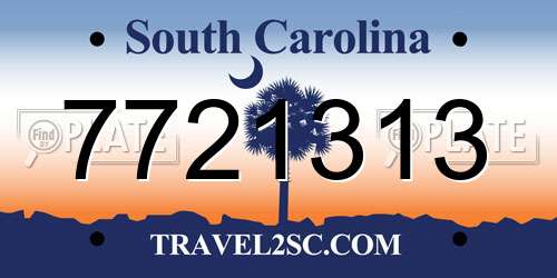7721313 South Carolina License Plate