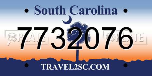 7732076 South Carolina License Plate