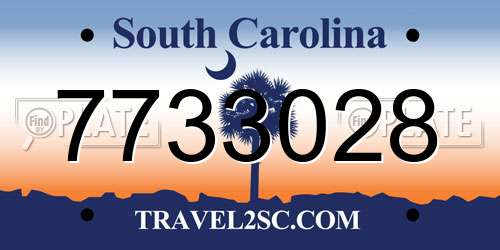 7733028 South Carolina License Plate
