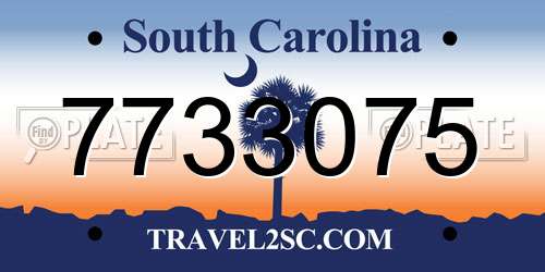 7733075 South Carolina License Plate
