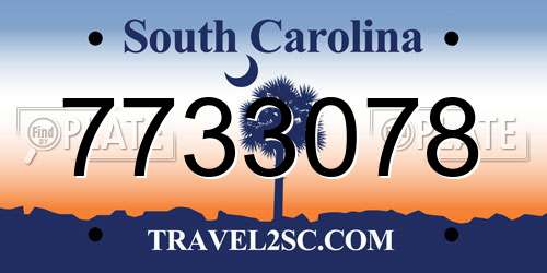 7733078 South Carolina License Plate