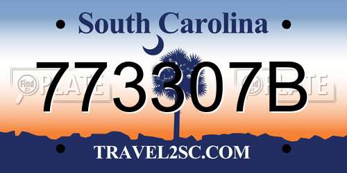 773307B South Carolina License Plate