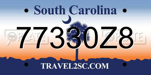 77330Z8 South Carolina License Plate