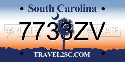 7733ZV South Carolina License Plate