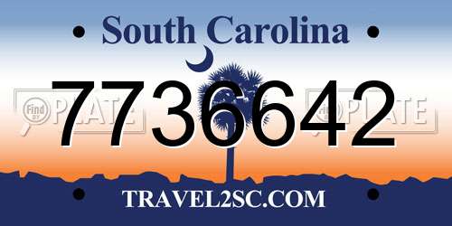 7736642 South Carolina License Plate