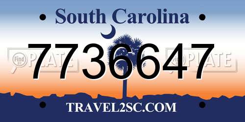7736647 South Carolina License Plate