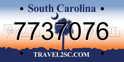 7737076 South Carolina License Plate