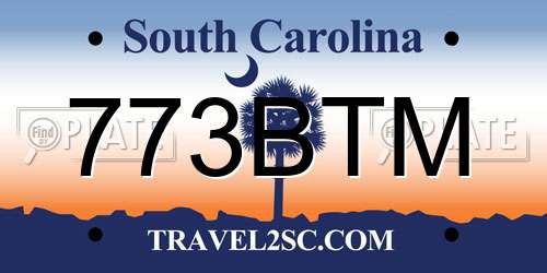 773BTM South Carolina License Plate