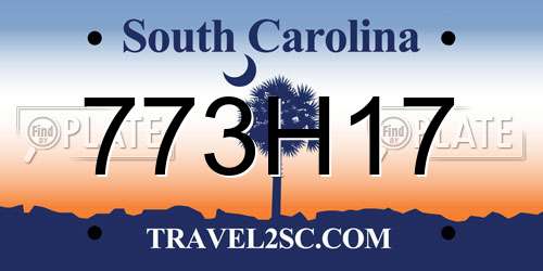 773H17 South Carolina License Plate