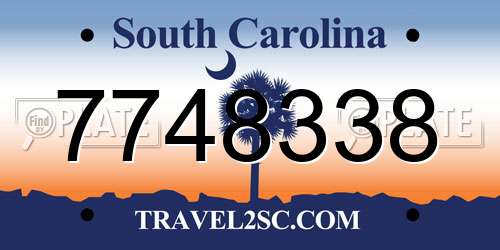 7748338 South Carolina License Plate