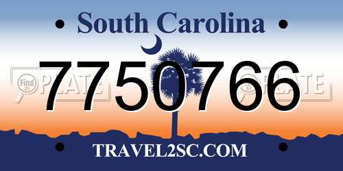 7750766 South Carolina License Plate
