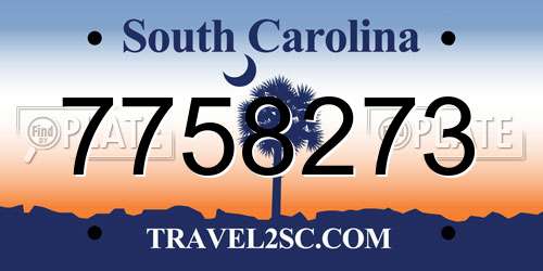 7758273 South Carolina License Plate