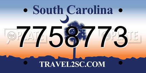 7758773 South Carolina License Plate