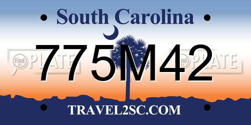 775M42 South Carolina License Plate