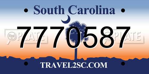 7770587 South Carolina License Plate