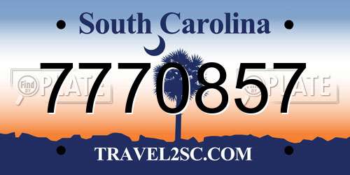 7770857 South Carolina License Plate