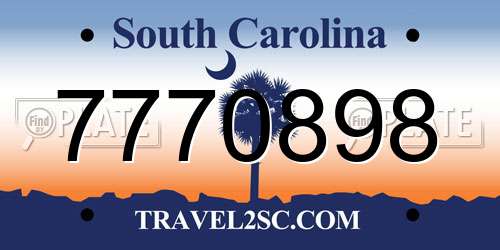 7770898 South Carolina License Plate