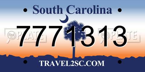 7771313 South Carolina License Plate