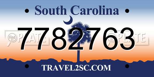 7782763 South Carolina License Plate