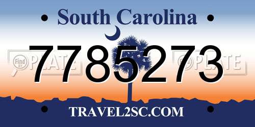 7785273 South Carolina License Plate