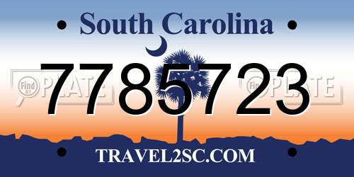 7785723 South Carolina License Plate