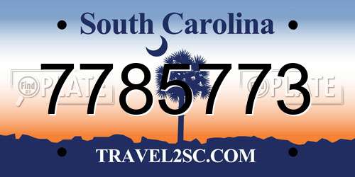 7785773 South Carolina License Plate