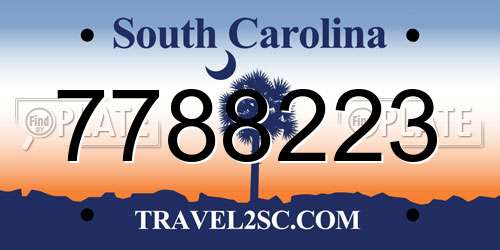 7788223 South Carolina License Plate