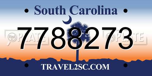 7788273 South Carolina License Plate