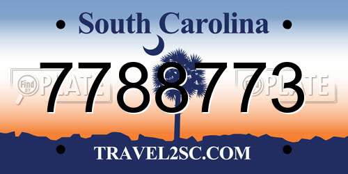 7788773 South Carolina License Plate