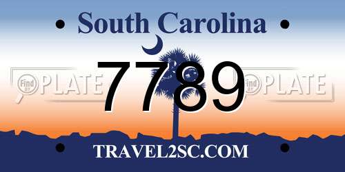 7789 South Carolina License Plate