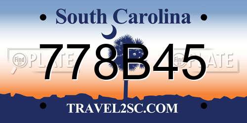 778B45 South Carolina License Plate
