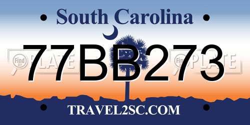 77BB273 South Carolina License Plate
