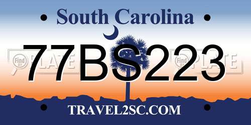 77BS223 South Carolina License Plate