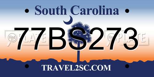 77BS273 South Carolina License Plate
